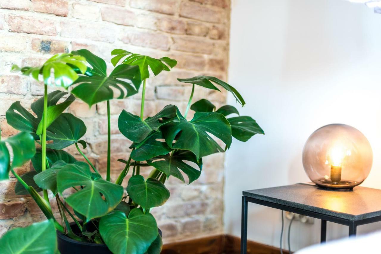 Salon Zamkowa Apartman Poznań Kültér fotó